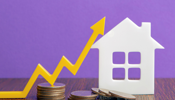 Planning To Purchase Rises (1)