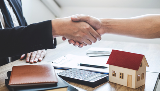 Supporting Btl Limited Company Listing