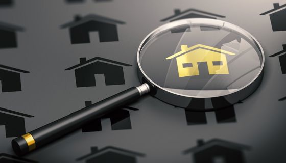 Shutterstock 1100834378