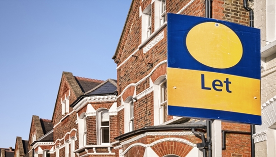 Article Image Hmo Yields