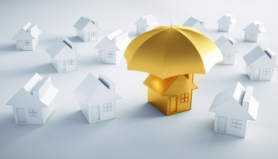 Shutterstock 1451589263