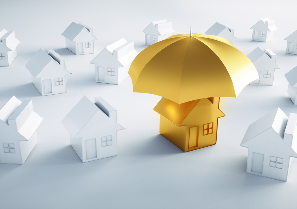 Shutterstock 1451589263